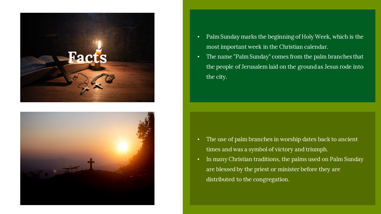 100341-palm-sunday-24