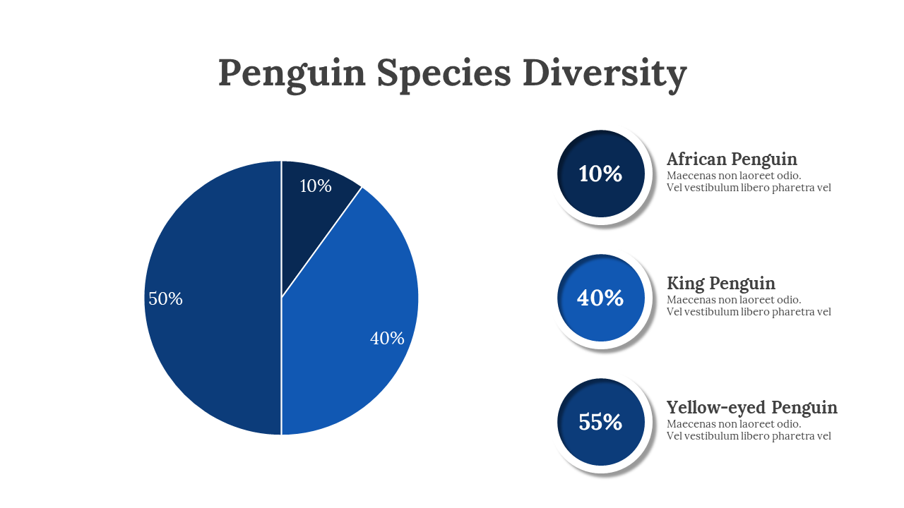 100347-world-penguin-day-presentation-12