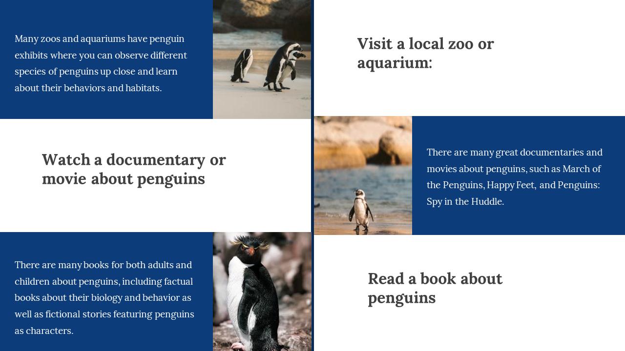 100347-world-penguin-day-presentation-14