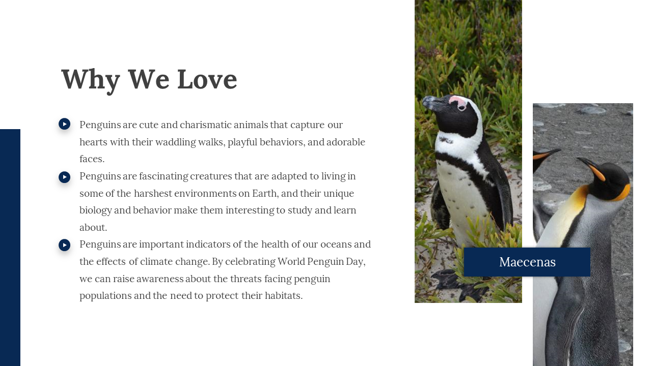 100347-world-penguin-day-presentation-17