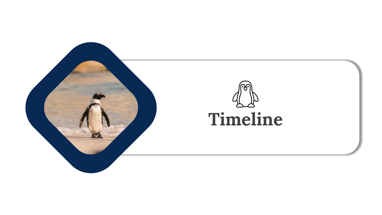100347-world-penguin-day-presentation-22