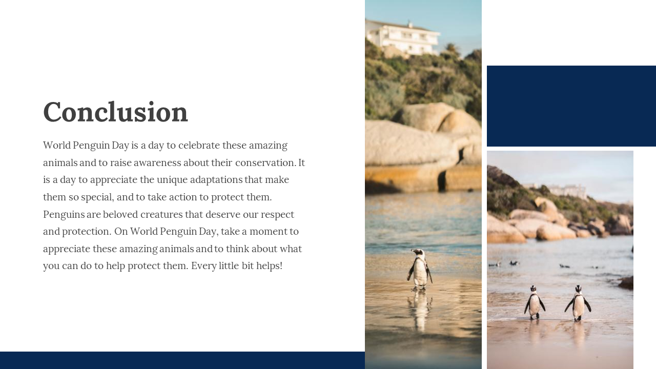 100347-world-penguin-day-presentation-30