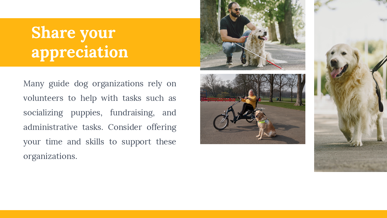 500075-international-guide-dog-day-12