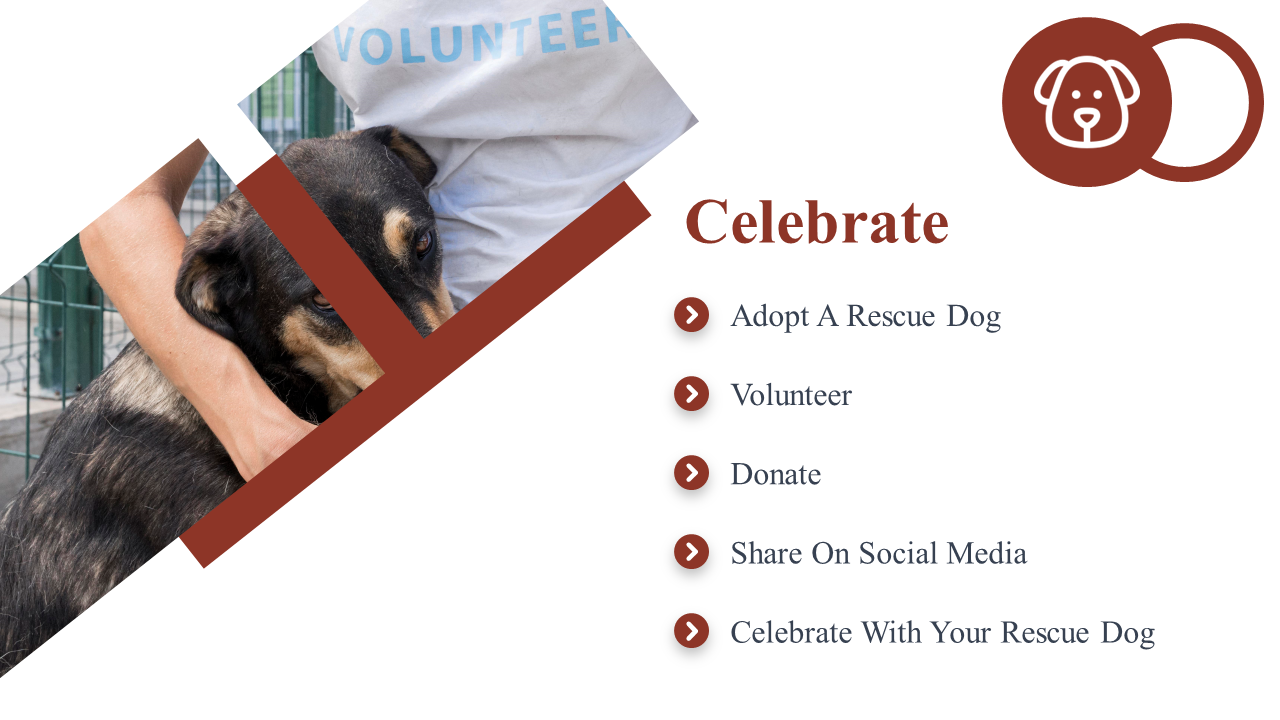500104-national-rescue-dog-day-11