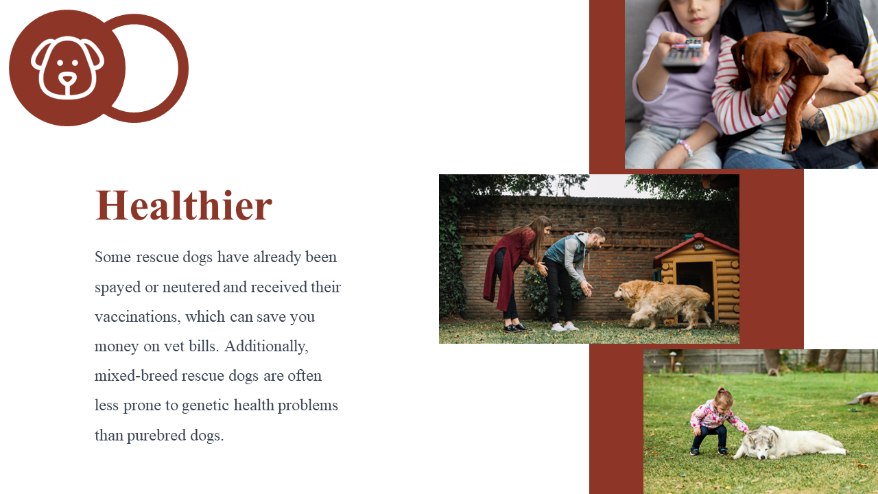 500104-national-rescue-dog-day-24