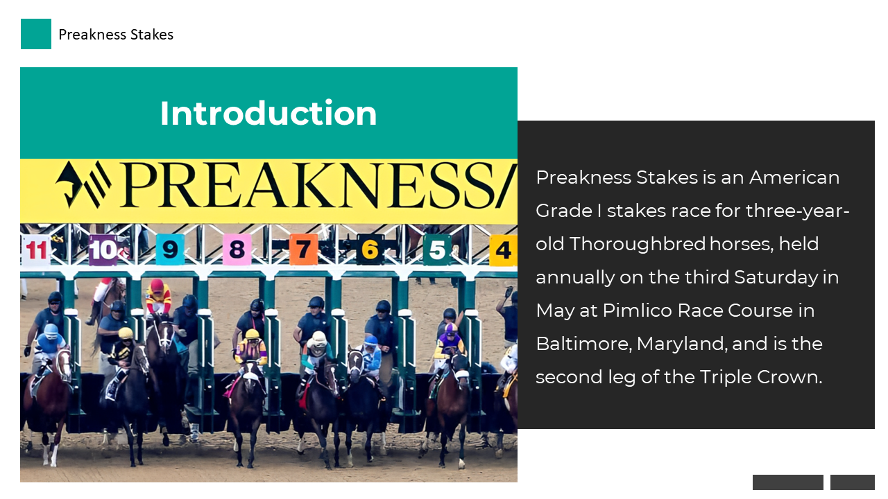 400403-preakness-stakes-04