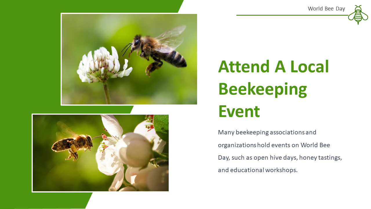 500106-world-bee-day-09