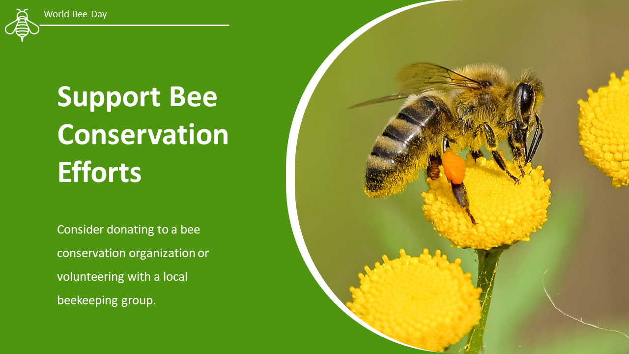500106-world-bee-day-12