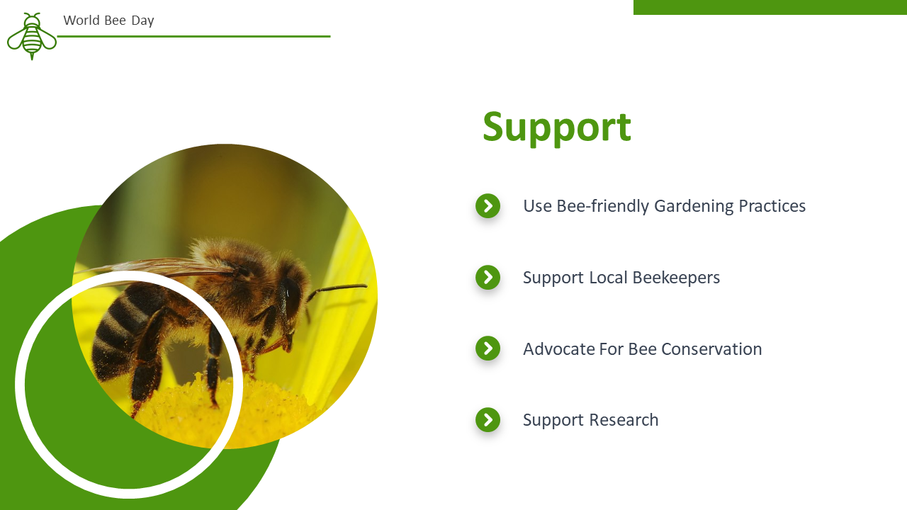 500106-world-bee-day-14
