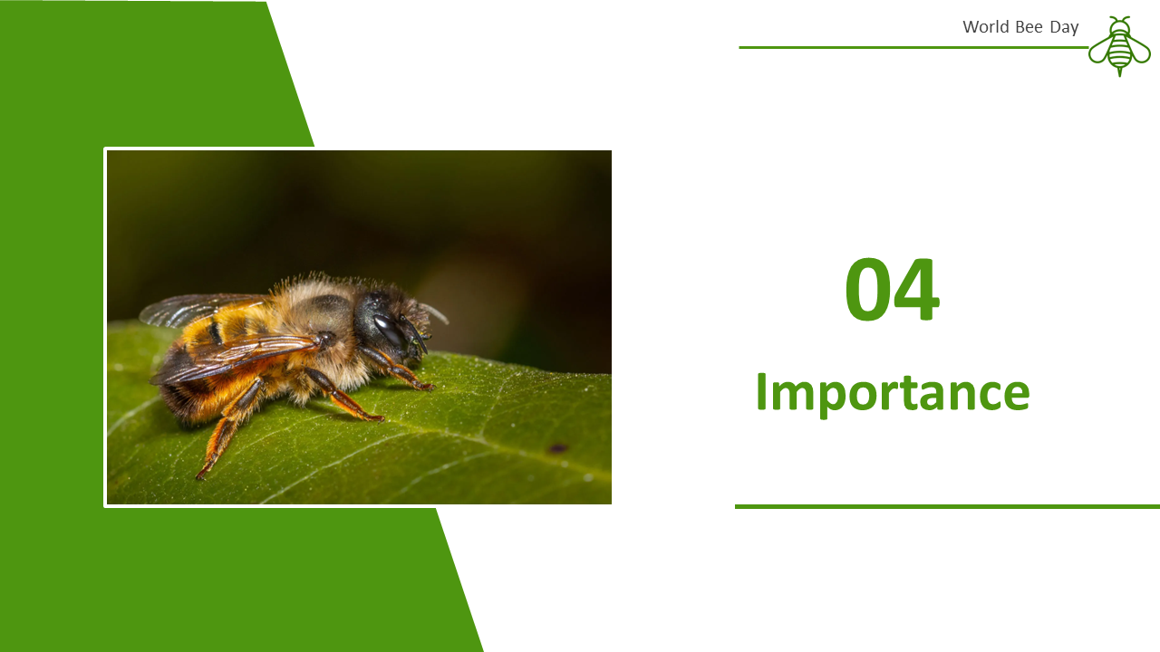 500106-world-bee-day-19
