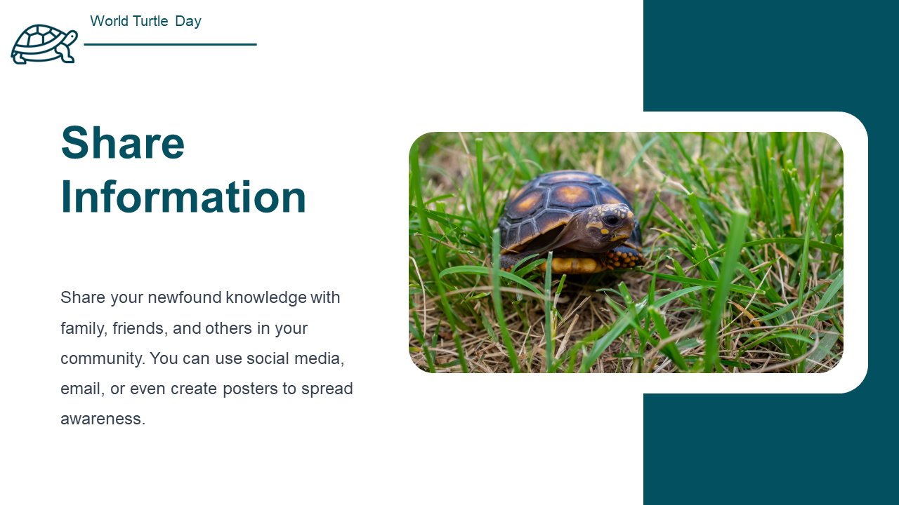 500108-world-turtle-day-20