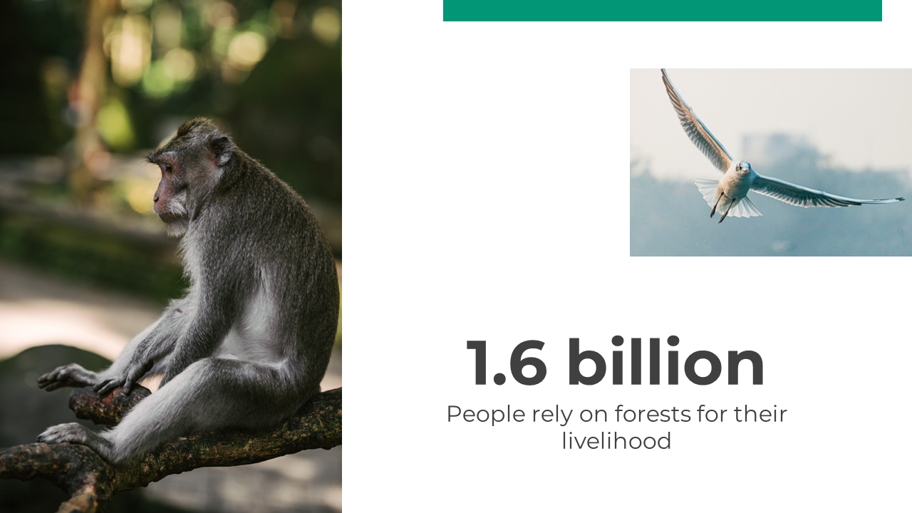100374-international-day-for-biological-diversity-22