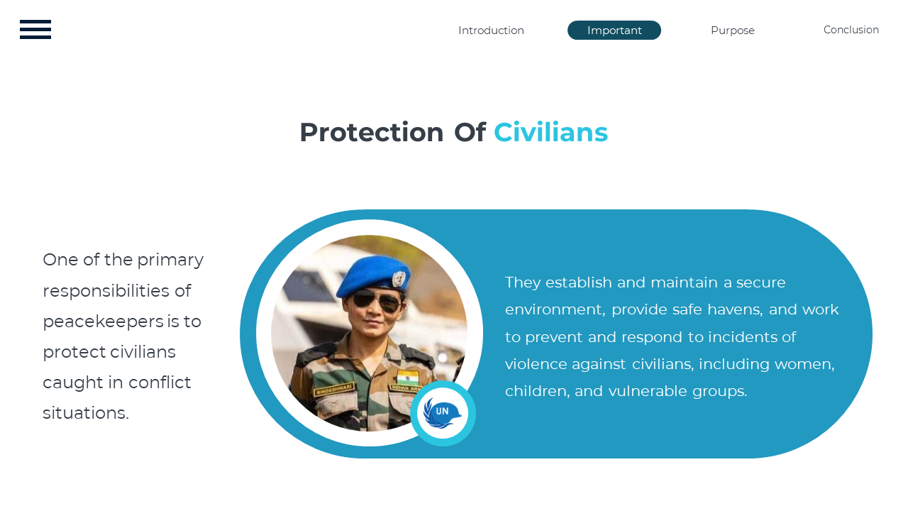 300383-international-day-of-united-nations-peacekeepers-08