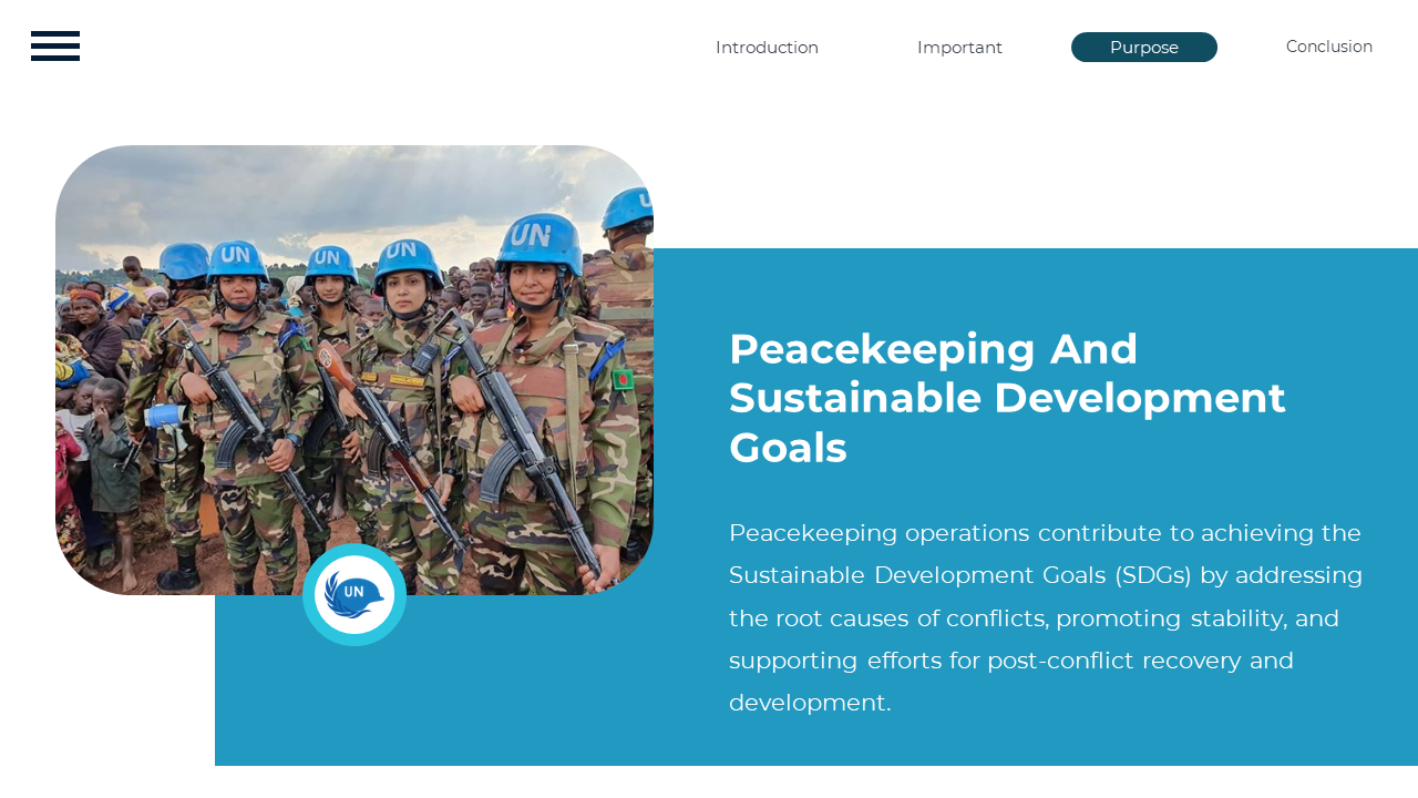 300383-international-day-of-united-nations-peacekeepers-14