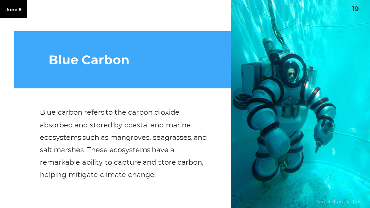 300385-world-oceans-day-19