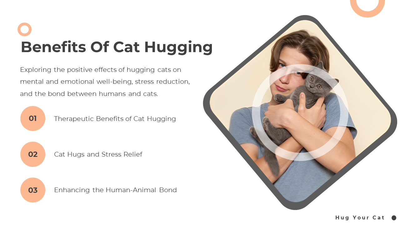 400422-national-hug-your-cat-day-06
