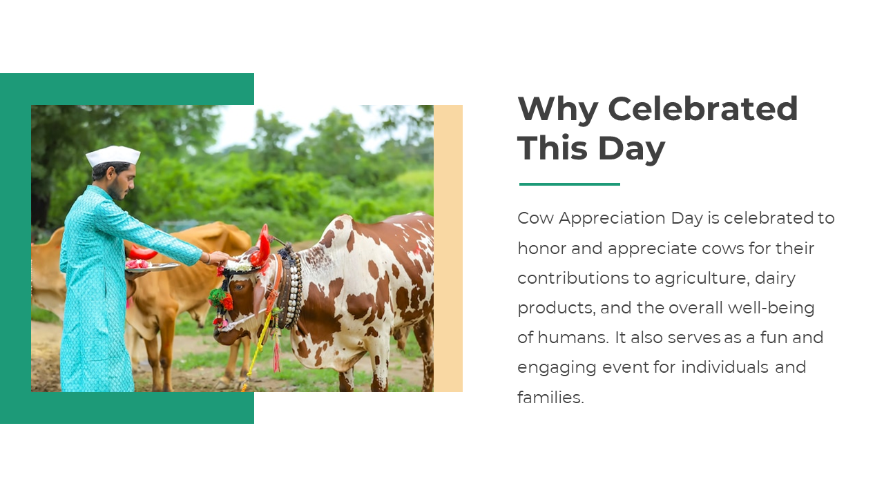 400440-cow-appreciation-day-05