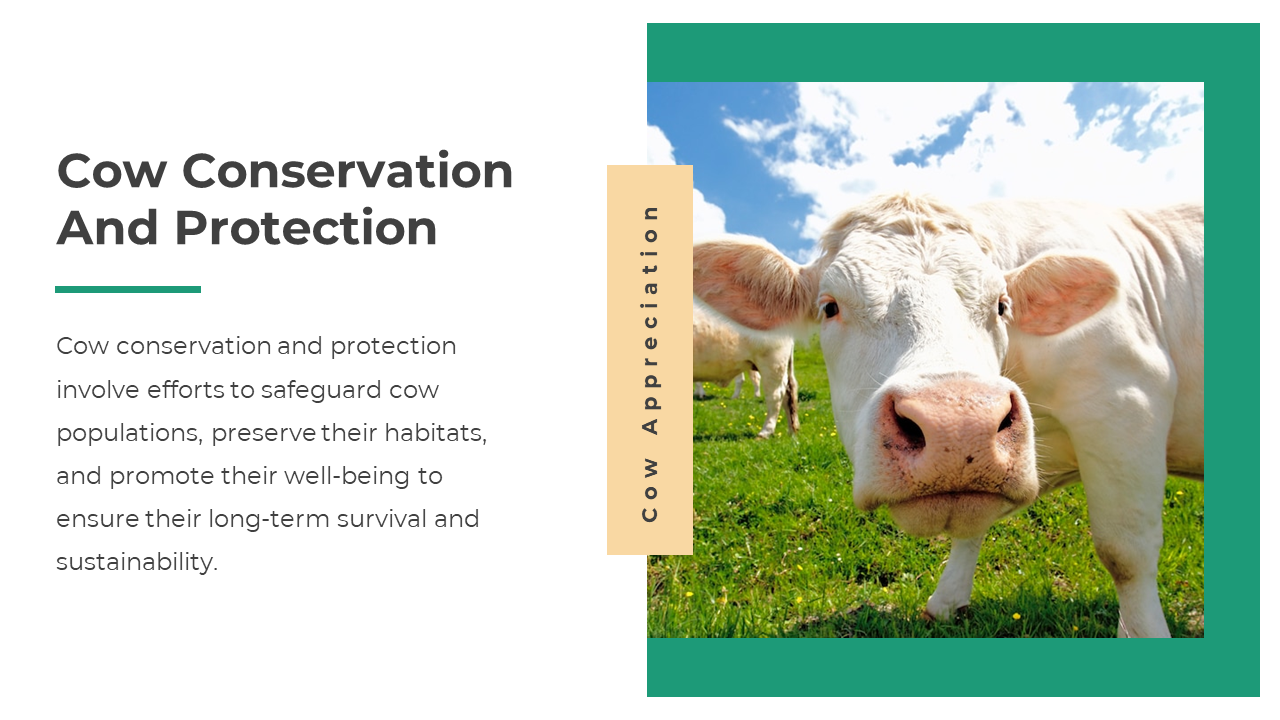400440-cow-appreciation-day-12