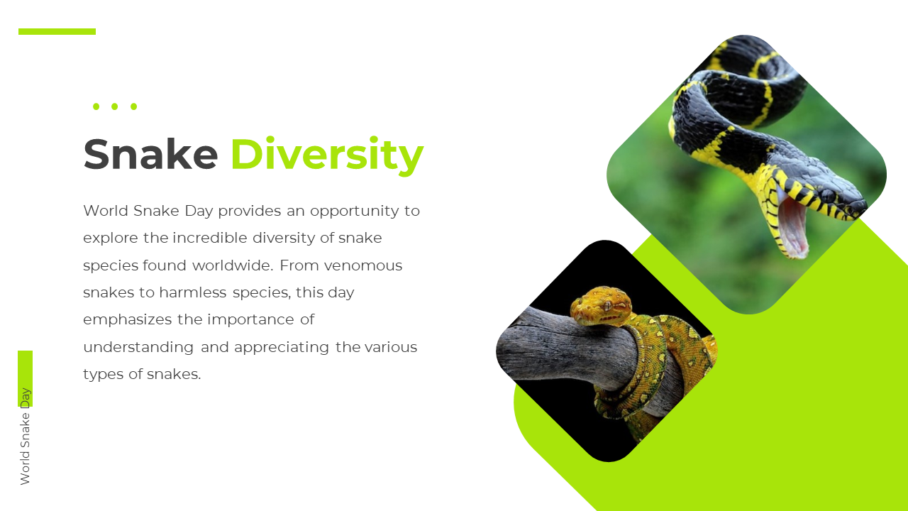 100391-world-snake-day-04