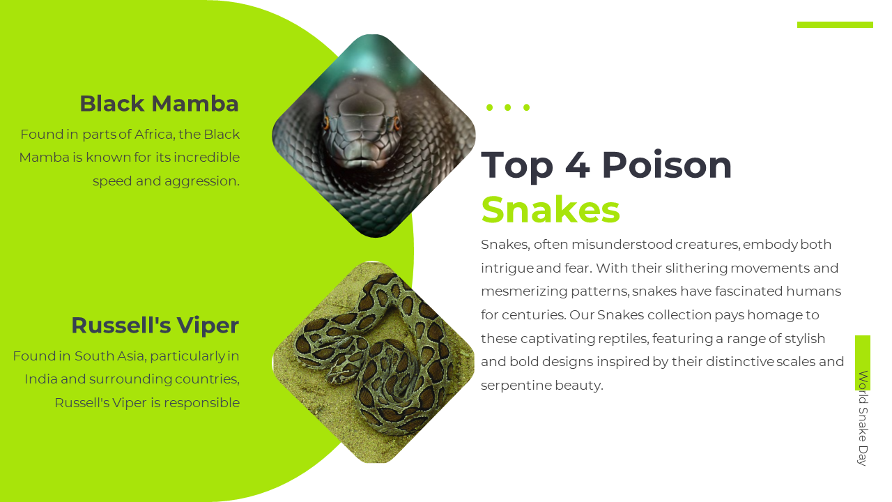 100391-world-snake-day-07