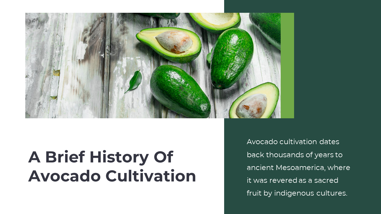200370-national-avocado-day-03