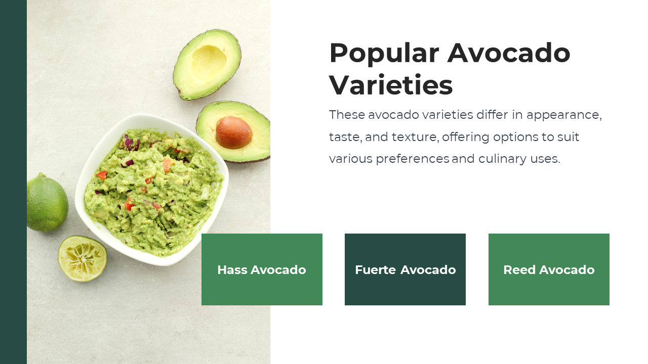 200370-national-avocado-day-04