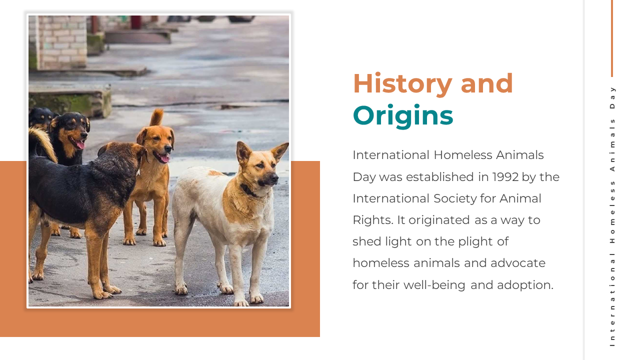 500181-international-homeless-animals-day-04