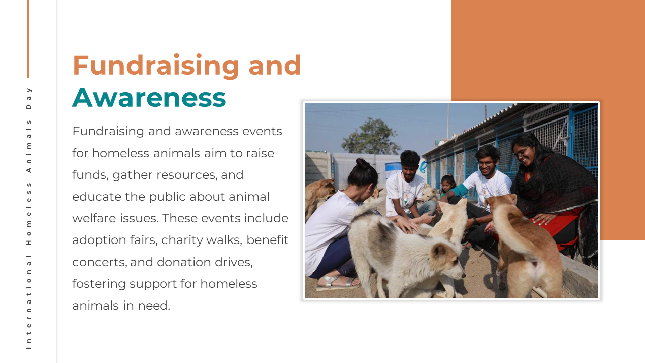 500181-international-homeless-animals-day-13
