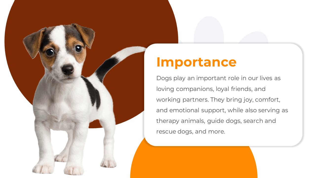 500200-national-dog-day-07
