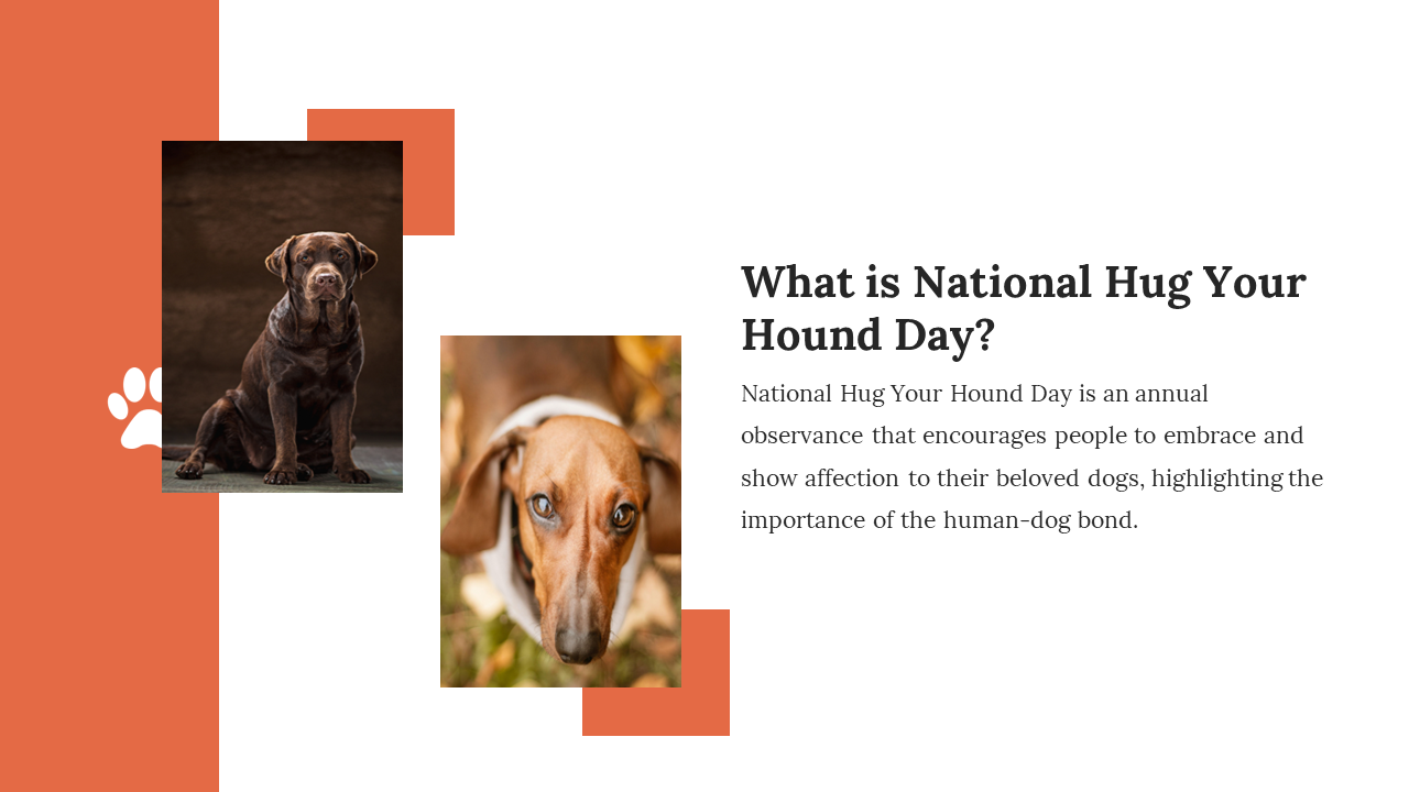 900015-national-hug-your-hound-day-ppt-03