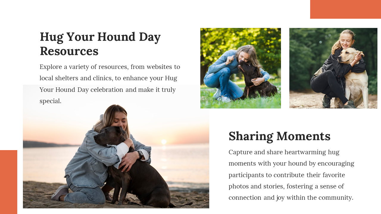 900015-national-hug-your-hound-day-ppt-10