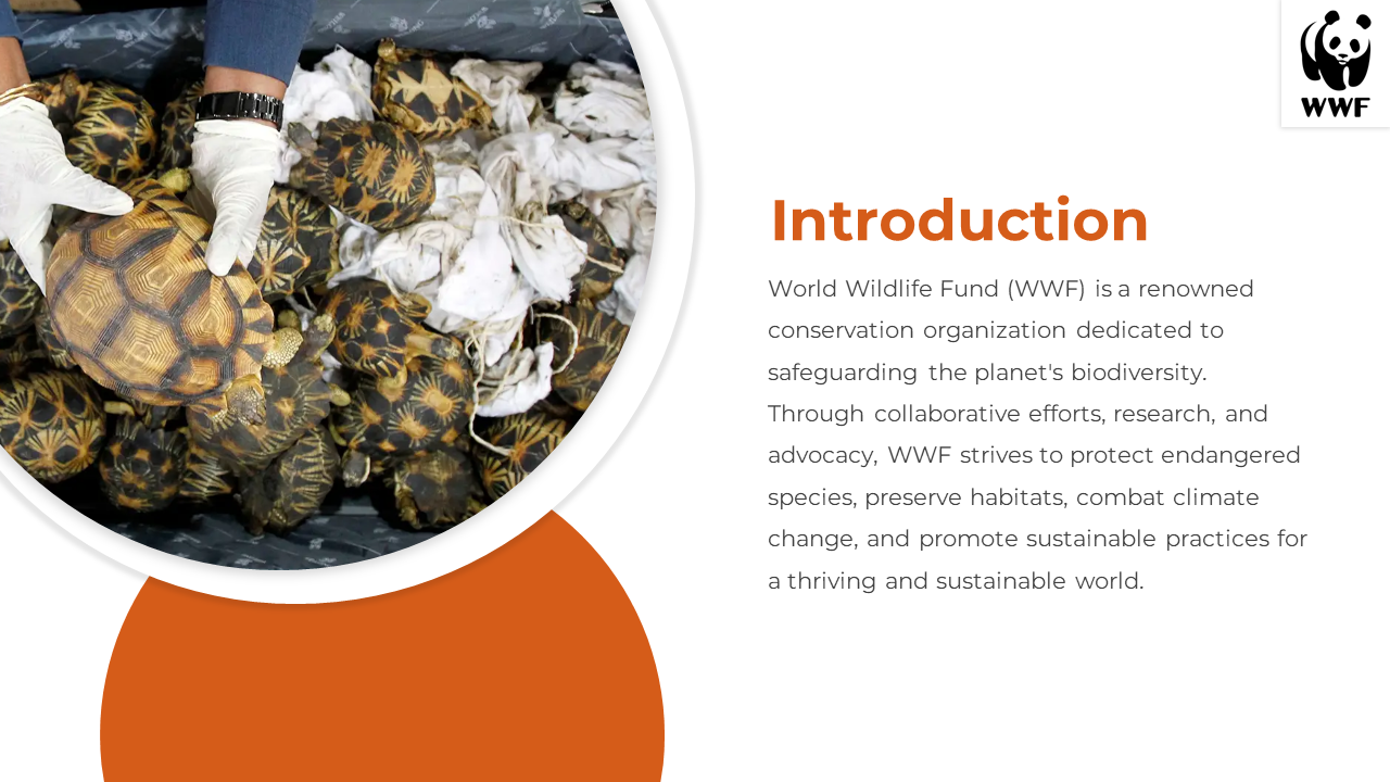 500209-world-wildlife-fund-03