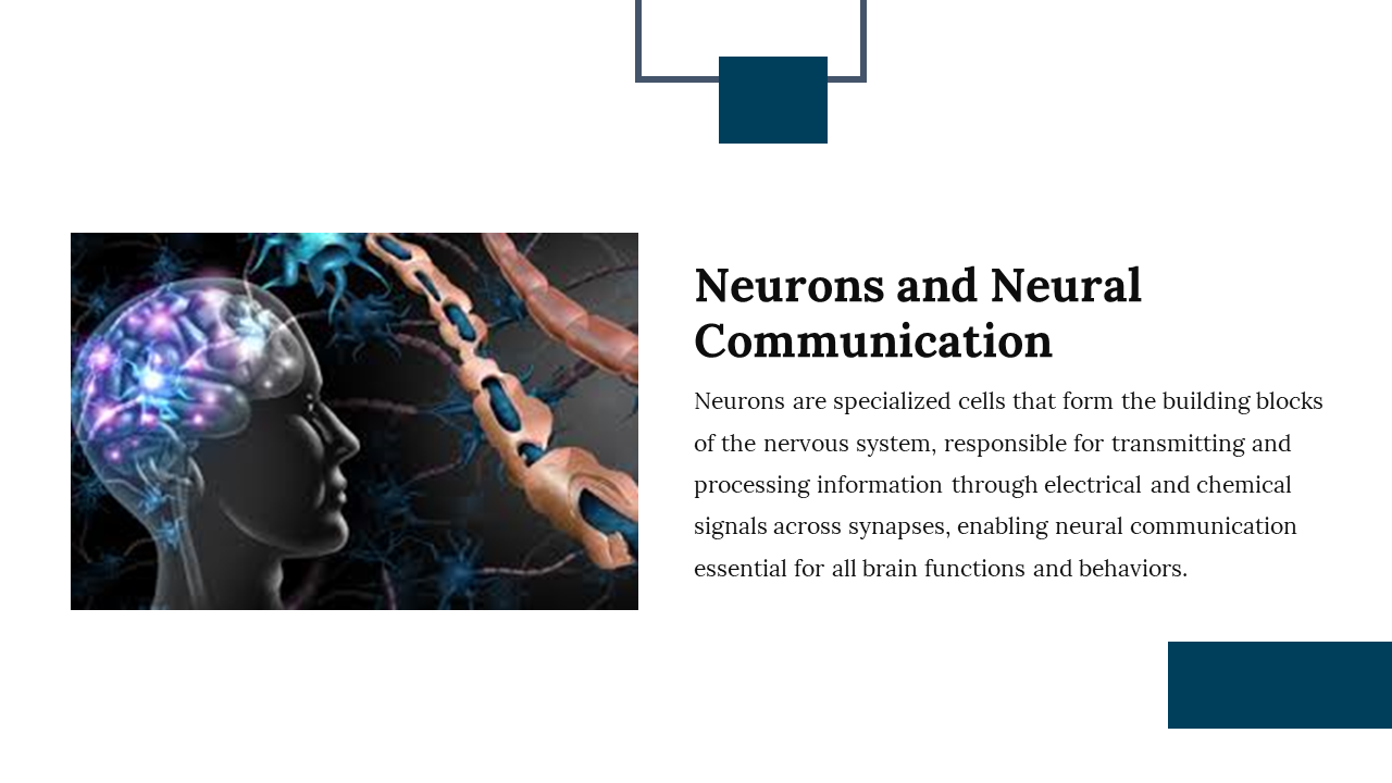 900023-neuroscience-research-05