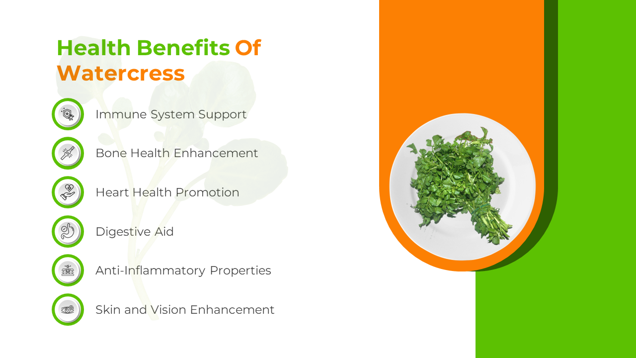 500272-watercress-nutritional-values-04