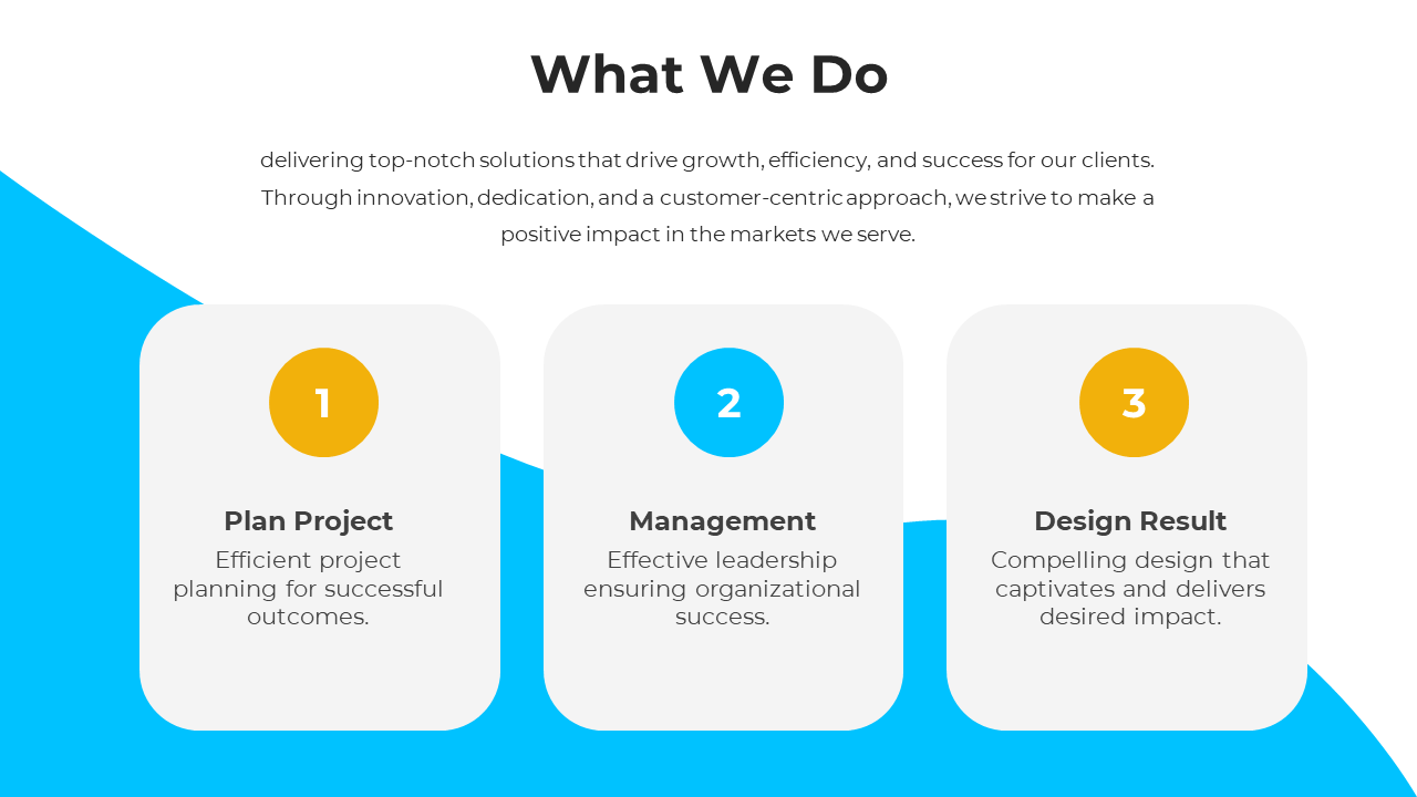 Slide showcasing What We Do with three key services each described with a brief explanation on a white and blue theme.