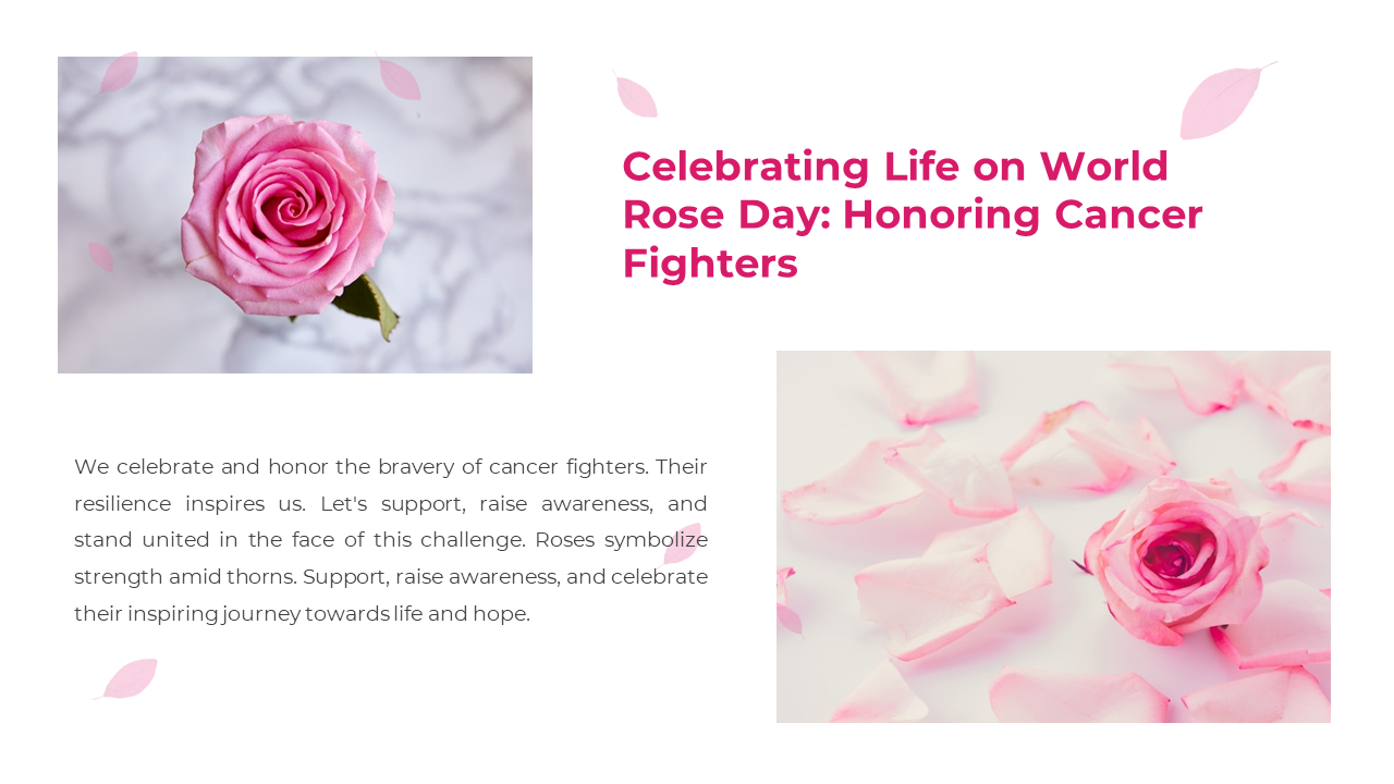 300483-world-rose-day-06