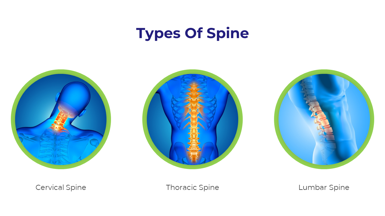 400575-world-spine-day-06
