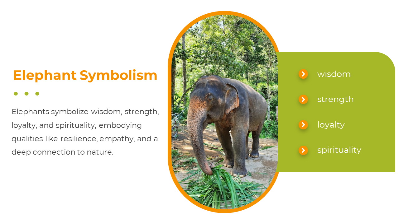 400580-national-elephant-appreciation-day-11