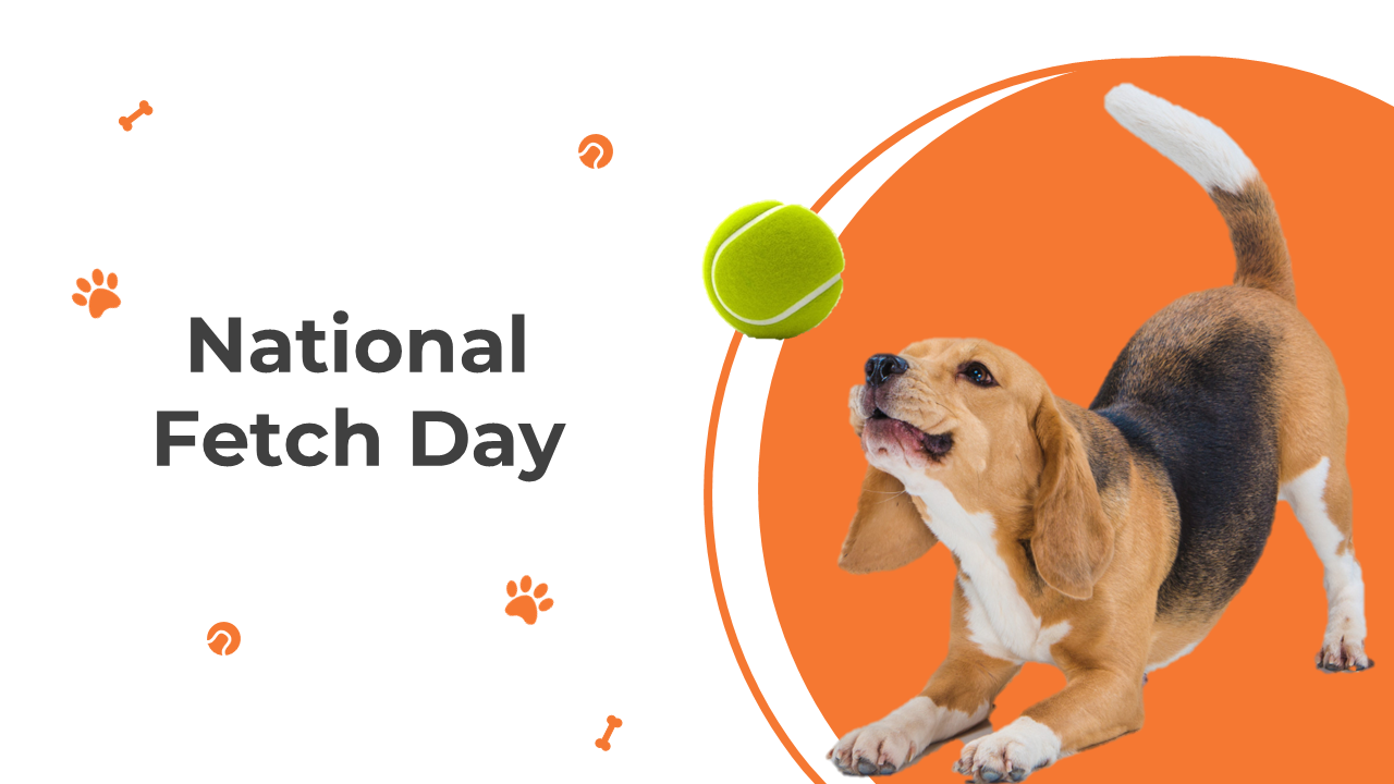National fetch day slide deck showcasing activities, toys, and traditions for celebrating with dogs, using orange accents.