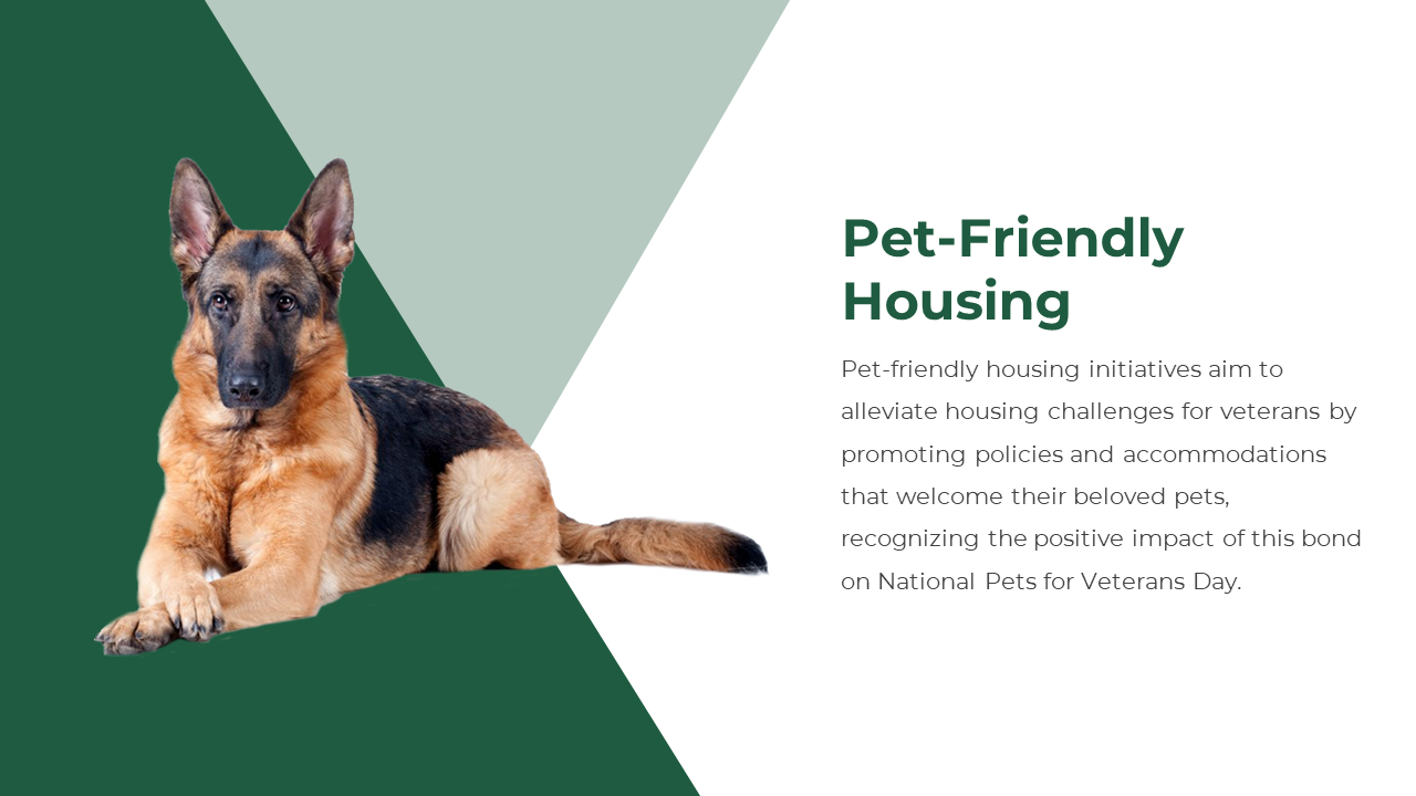 300541-national-pets-for-veterans-day-10