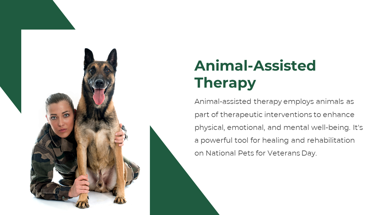 300541-national-pets-for-veterans-day-12