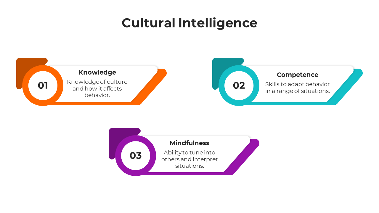 100574-cultural-intelligence-10