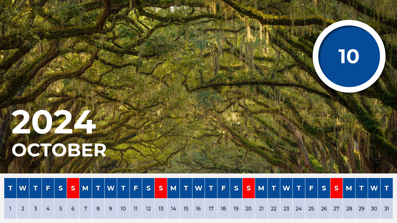 2024-calendar-google-slides-template-free-download-11