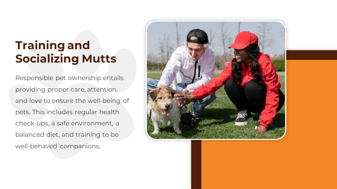 500520-national-mutt-day-09