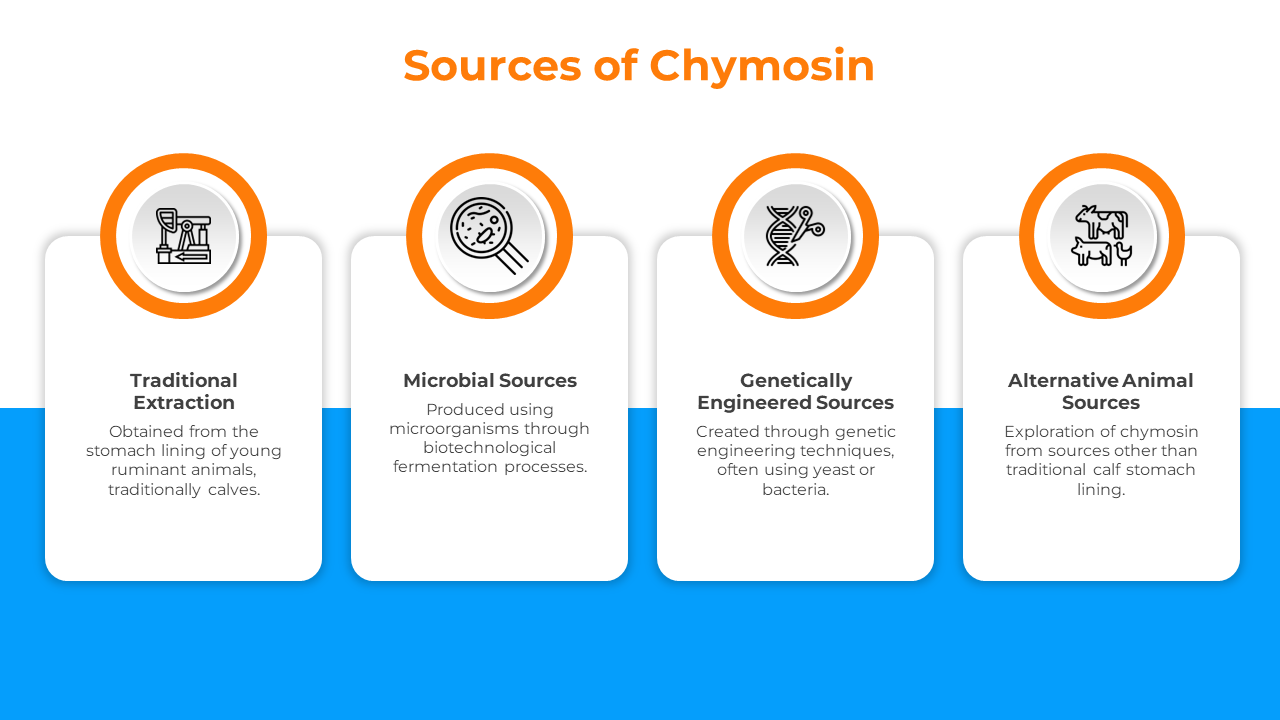 500537-chymosin-05