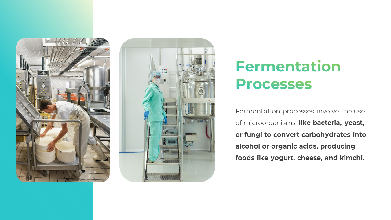 300842-food-microbiology-06