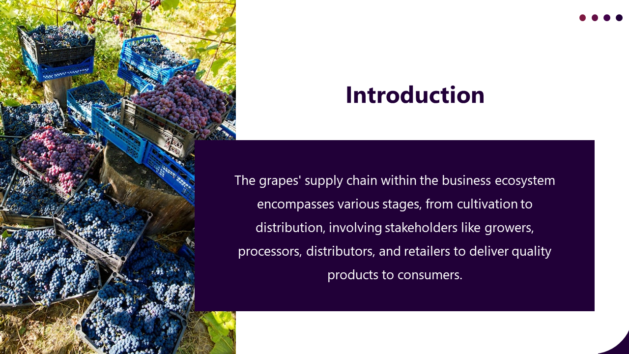 400903-supply-chain-for-grapes-production-02