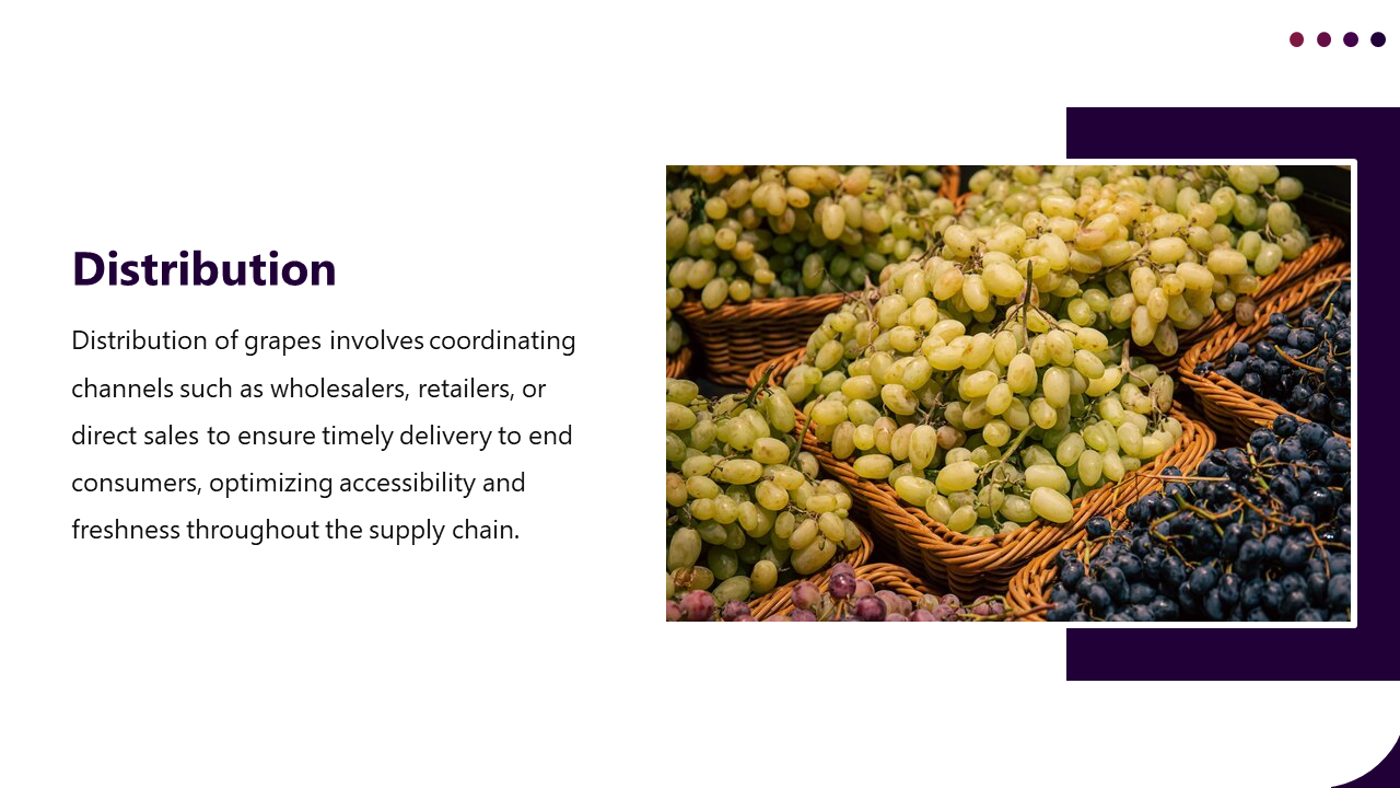 400903-supply-chain-for-grapes-production-09