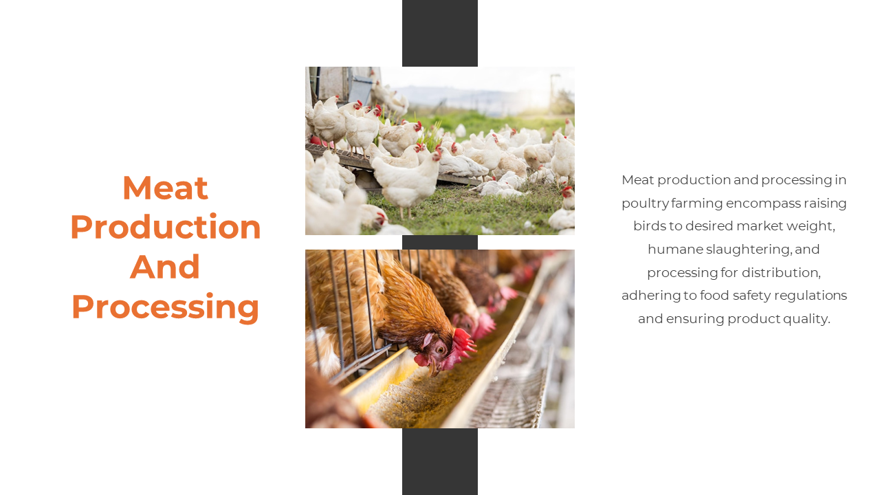 300857-poultry-farming-08