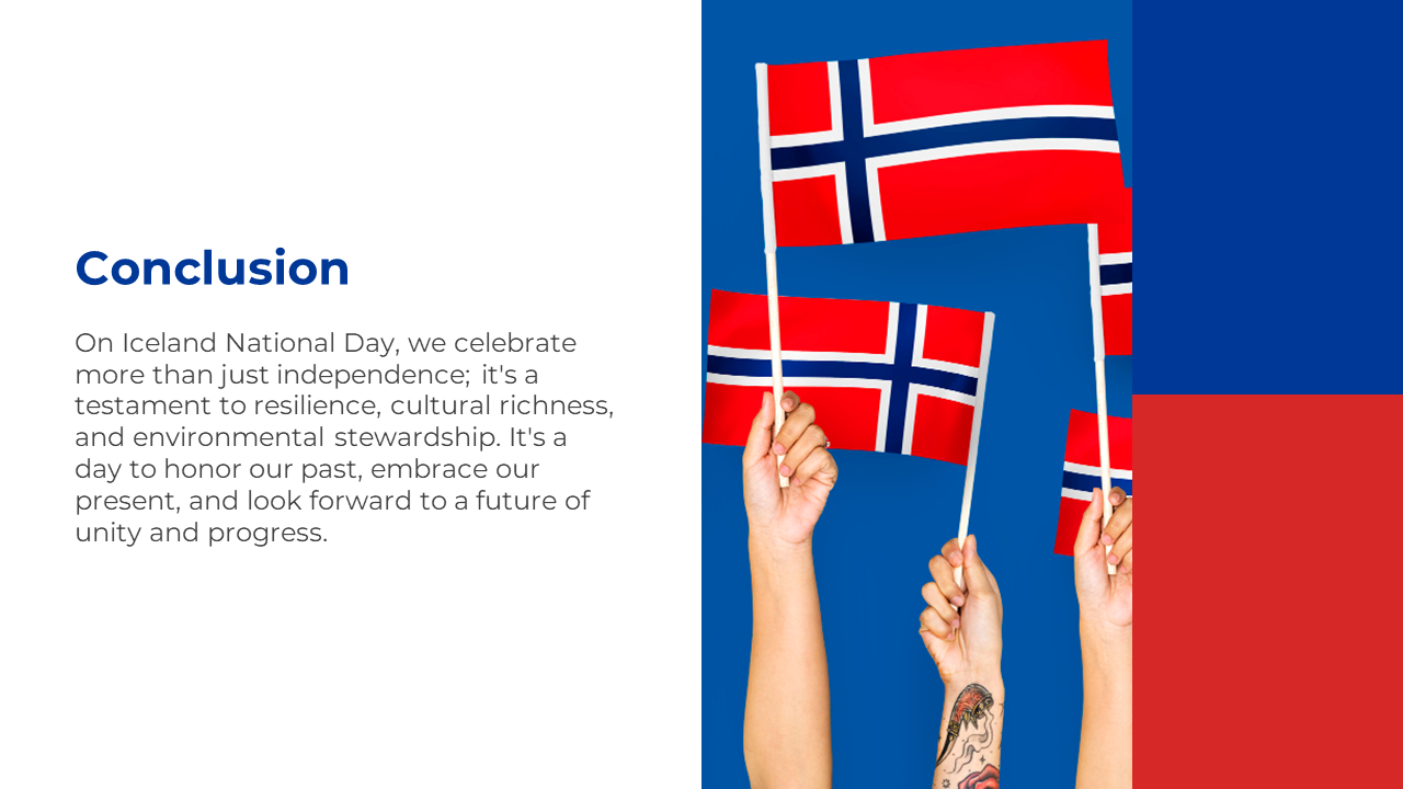 500724-iceland-national-day-10